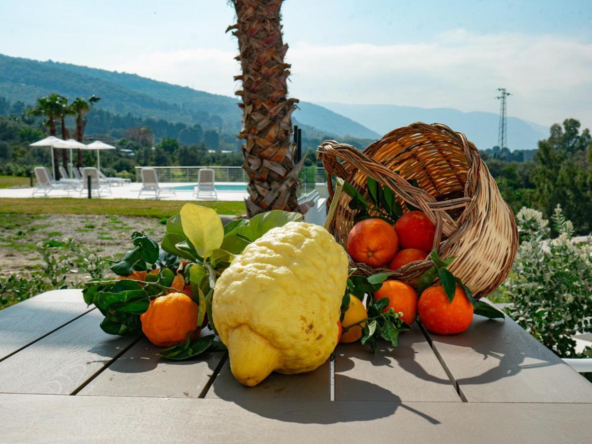 Resilienza Apartment Capo dʼOrlando Eksteriør bilde